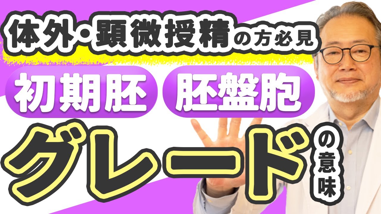 【妊活】初期胚・胚盤胞のグレードの意味と着床率が上がるポイント！【体外受精/顕微授精】