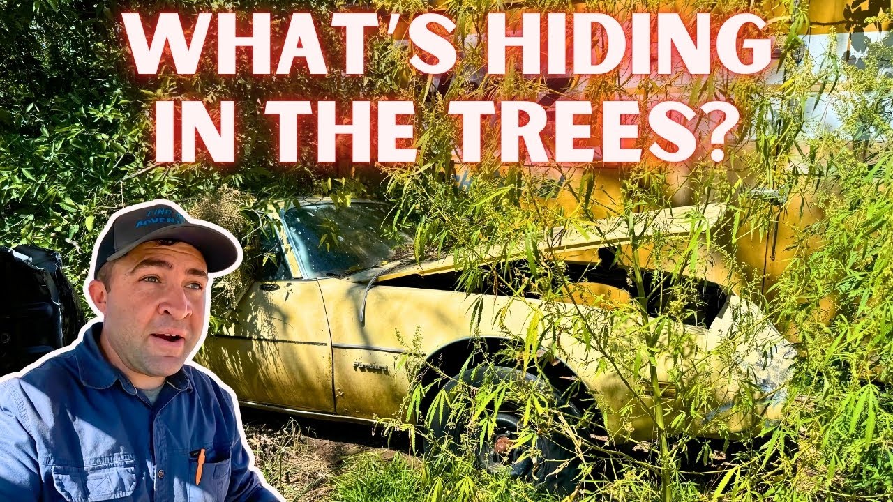 FARM CLEANUP Time! Dragging Cars & Trucks out of the Field and Trees!