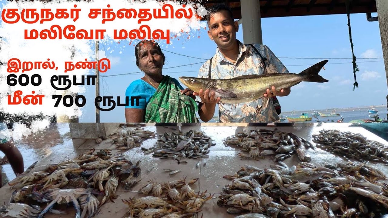 குருநகர் மீன் சந்தை | யாழ்ப்பாணத்தில் மலிவான மீன் சந்தை | உடன் மீன் சந்தை | Guru nagar fish market