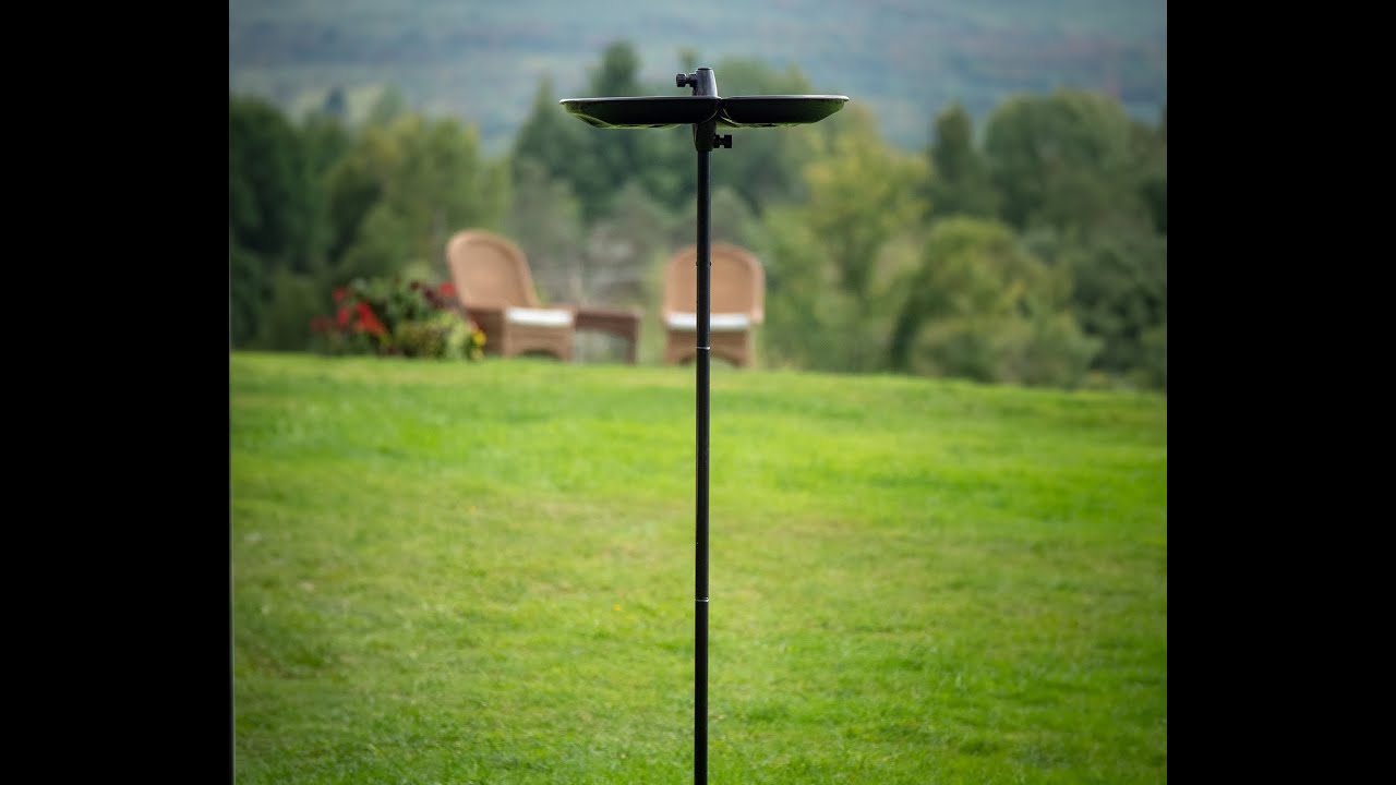 The Seed Catcher Tray & Pole Podium