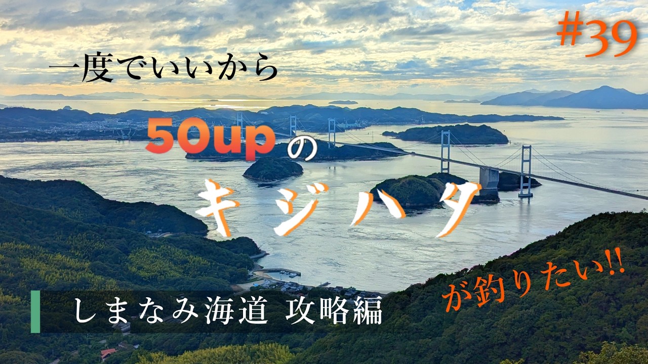 【広島 愛媛の、島巡り】一度でいいから50upのキジハタが釣りたい!!#39【ロックフィッシュ】