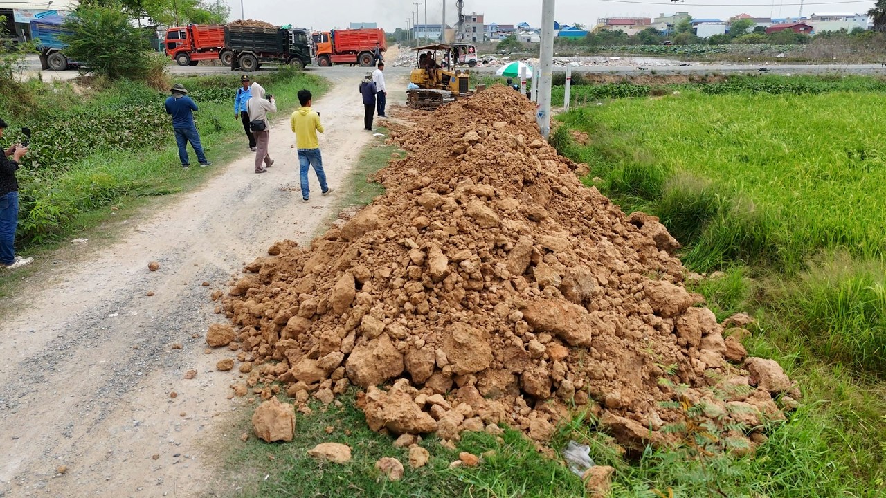 New Site Started! Skillful Land Filling Using Mitsubishi Dozer and Dump Trucks Filling Flooded Land