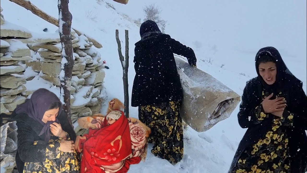 Winter Preparations: Zari and the Operator's Solution with Plastic