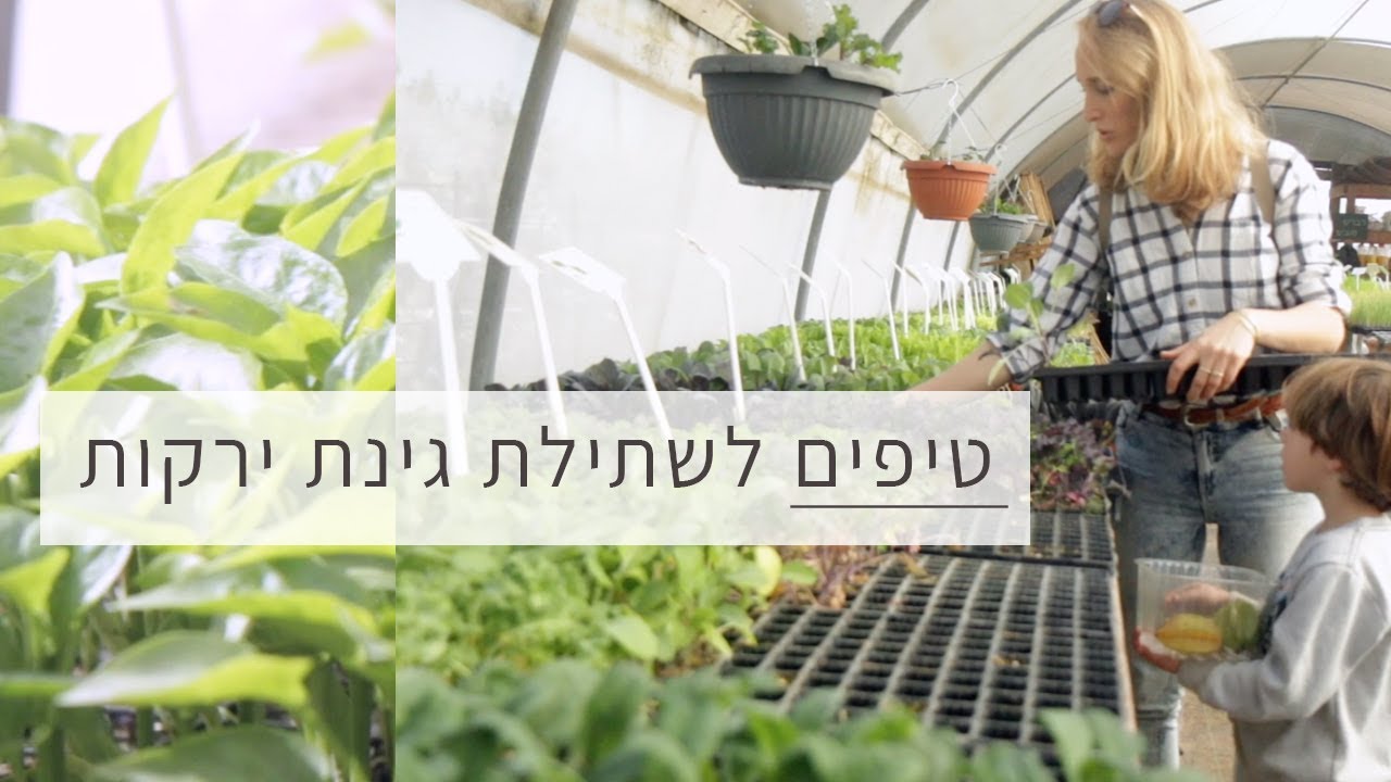 טיפים לשתילה של גינת ירקות ביתית
