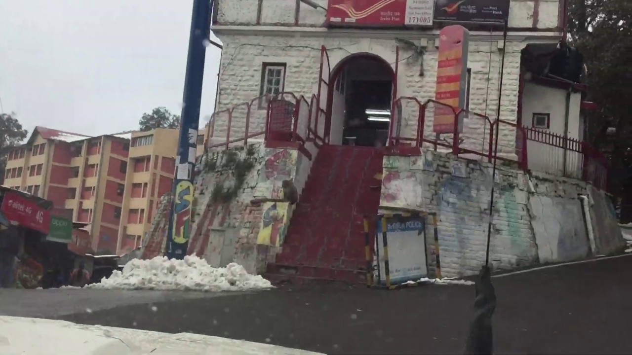 Himachal pradesh University campus shimla