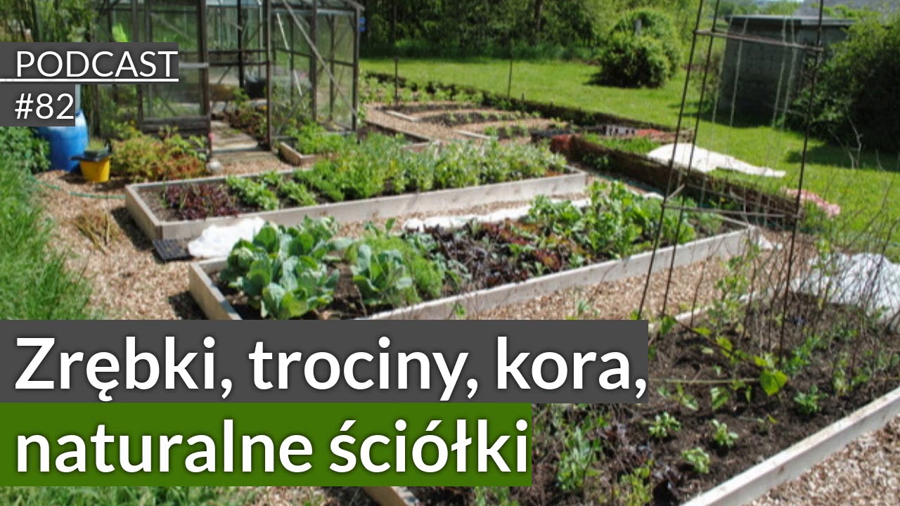 NoO 82. Zrębki, trociny, kora - naturalne ściółki w ogrodzie. Podcast. Naturalnie o ogrodach