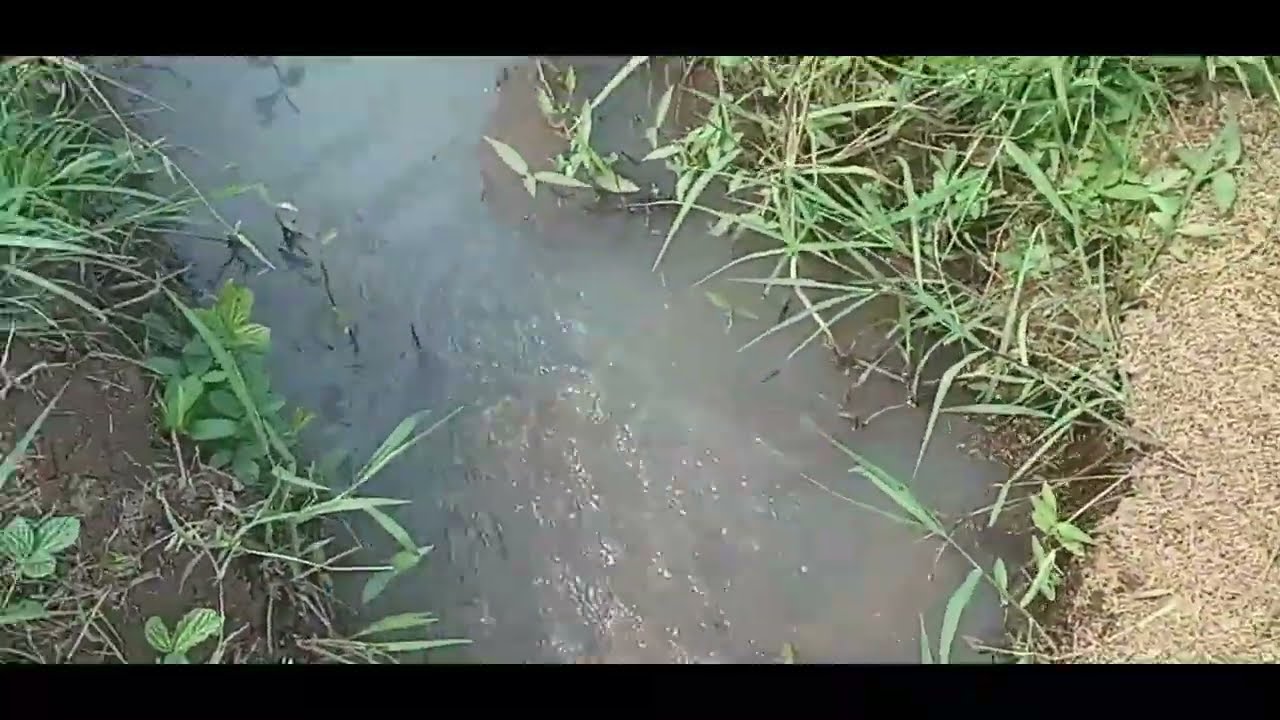 HANYA DI TAPAL BATAS DESA,UDAH BISA HEPY