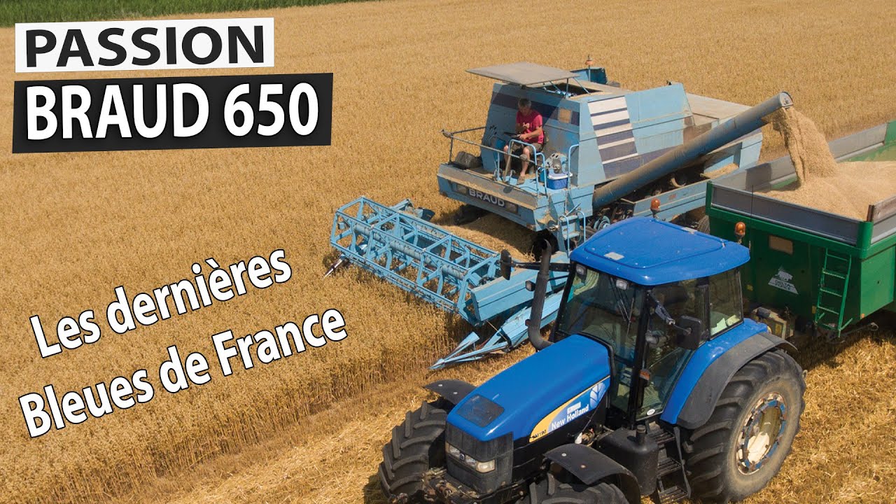 Les dernières Bleues de France - BRAUD 650 à la récolte de l'avoine