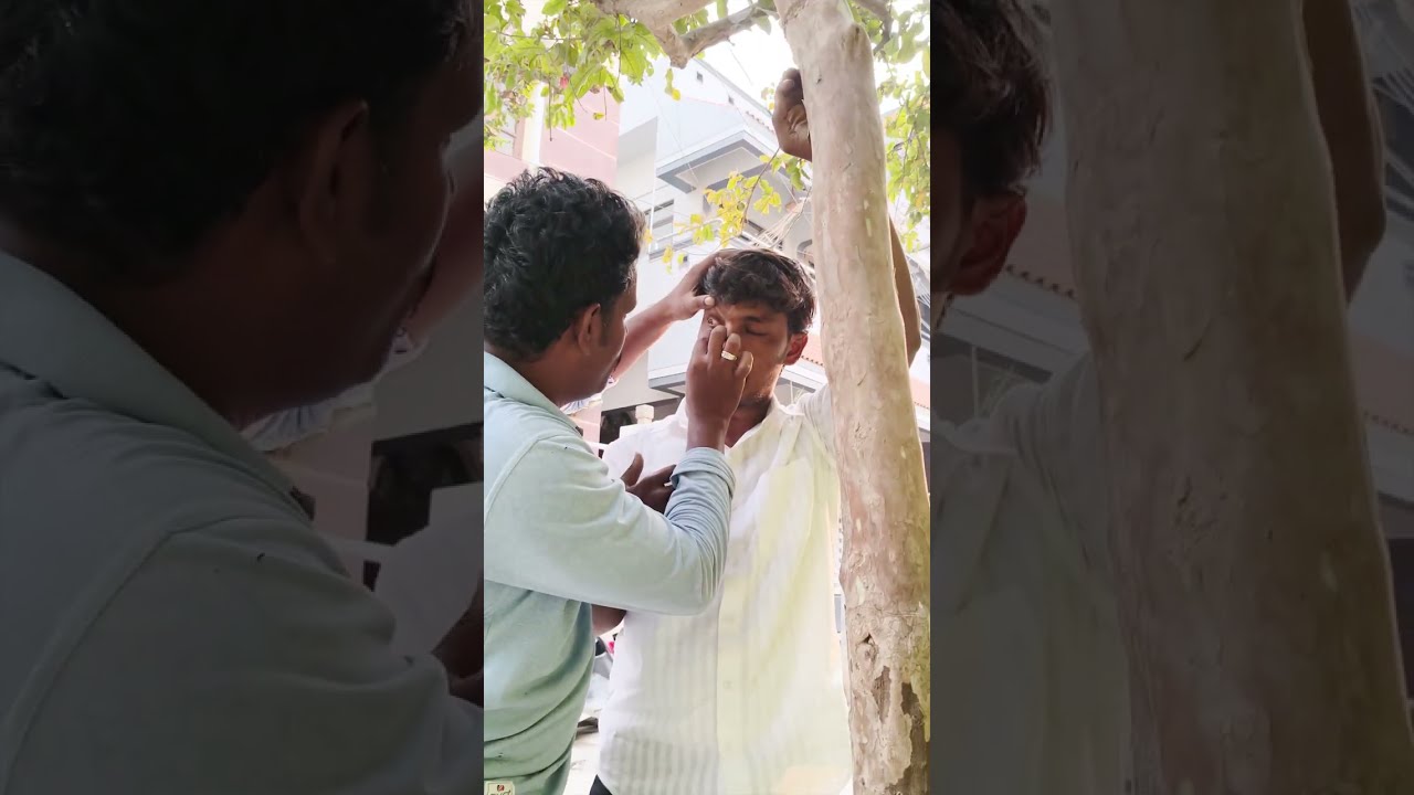 கொய்யா மரத்தில் கொட்டப்பட்ட கான்கிரீட்  #petromaxlight