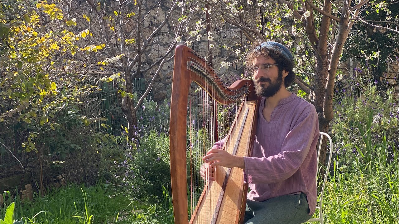 The Song of the Flowering Almond Tree – Tu Bishvat Celtic Harp (Dorian Mode) - @TzufFamilyBand