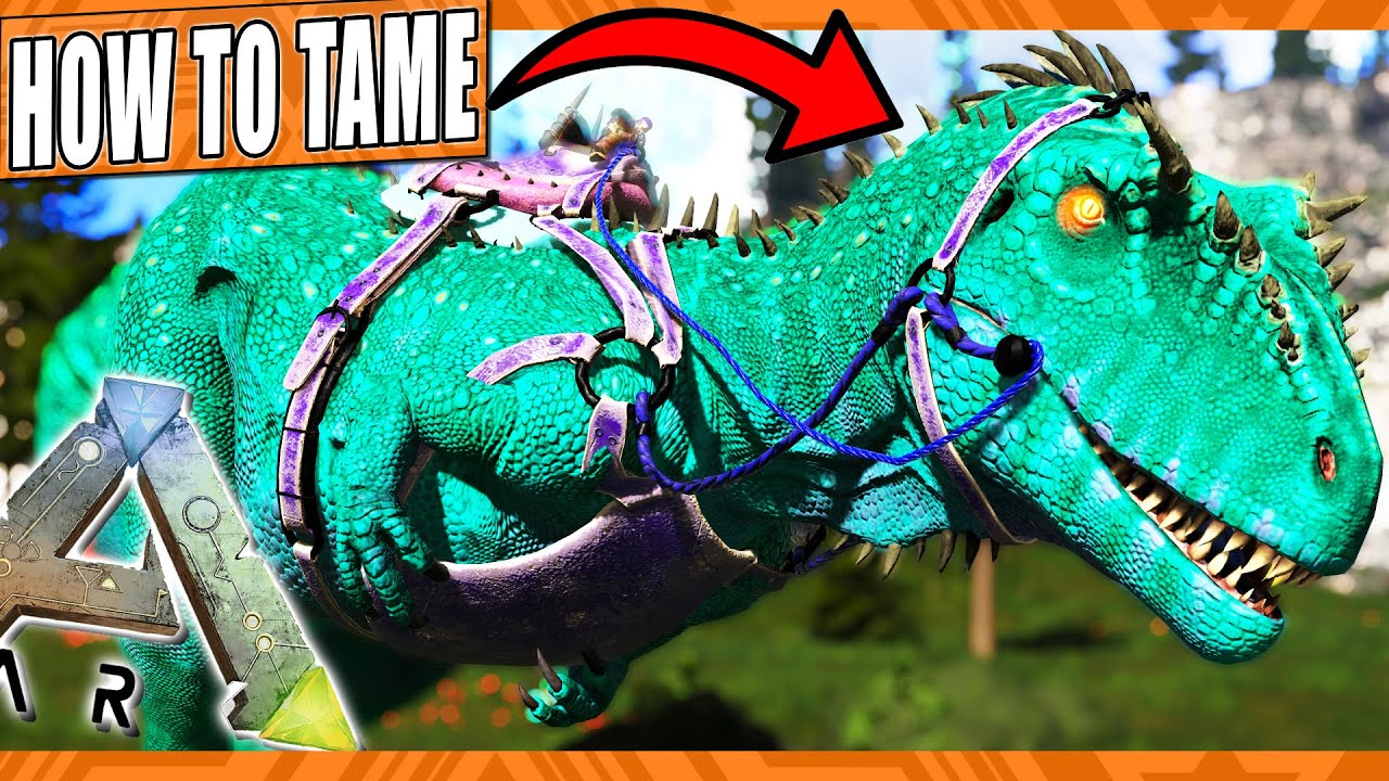 How To Tame Carcharodontosaurus (ARK Survival Evovled)