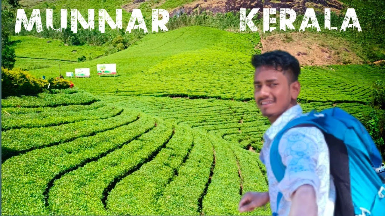 Munnar India's Beautiful Place Tea Garden Kerala