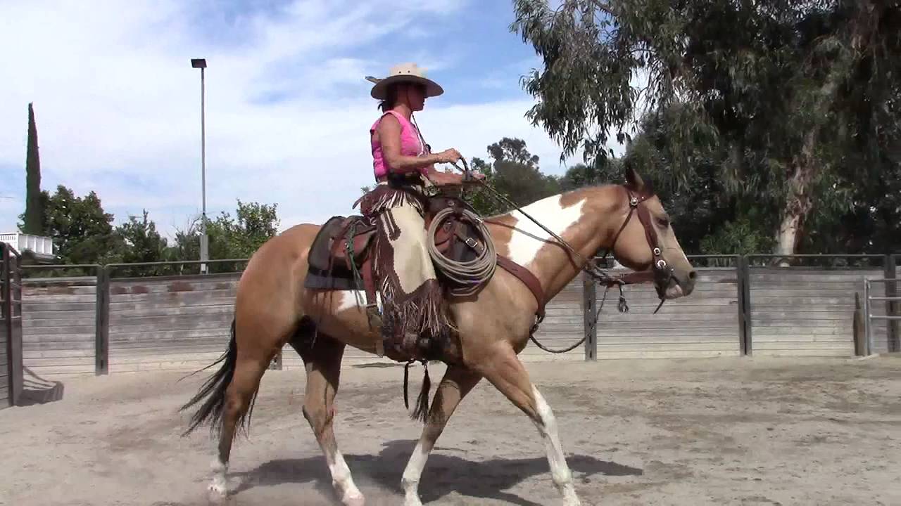Val Gilbert Horsemanship sitting trot 06/11/2013
