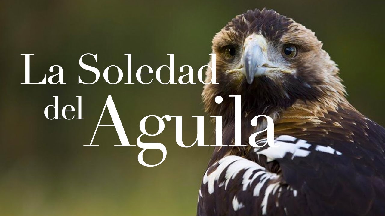 La soledad del águila -versión sin voz