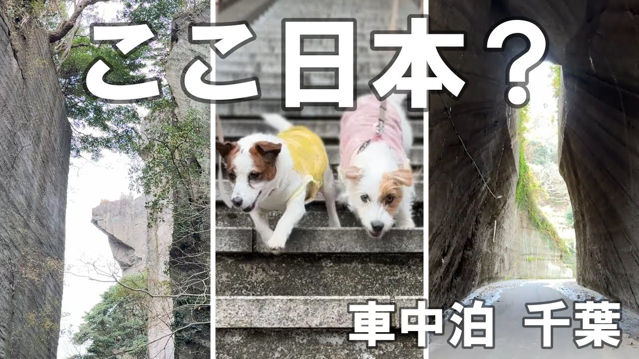 【愛犬と行く千葉】燈篭坂大師の切通トンネルと鋸山｜犬と行く絶景旅が想像以上だった