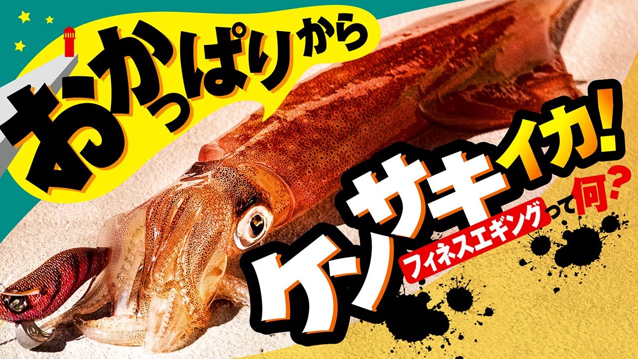 【おかっぱりでケンサキイカを釣る！？】ライトゲームタックルで出来る、フィネスエギングの世界