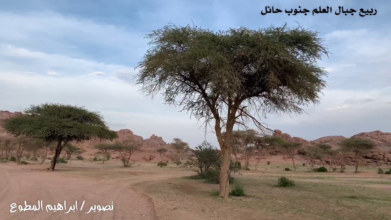 ربيع جبال العلم