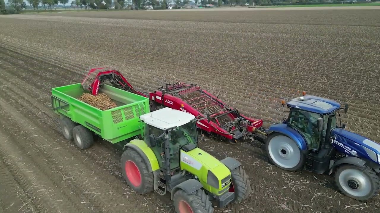 aardappeloogst 1