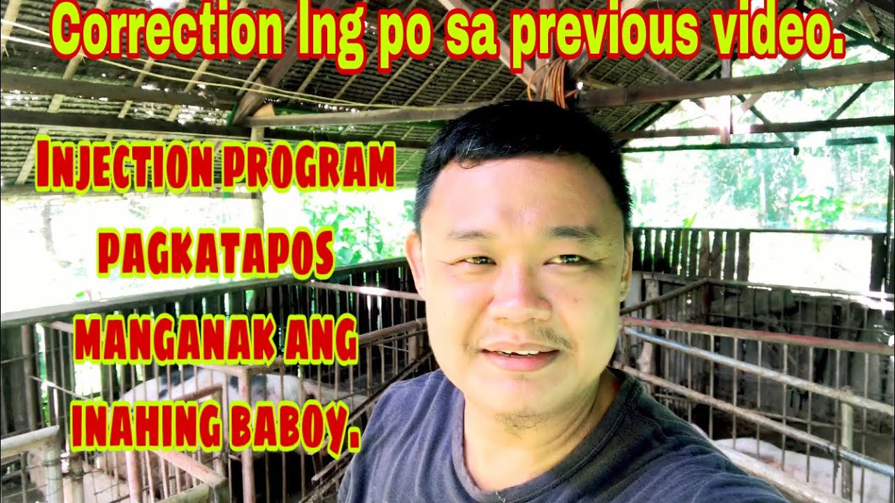 Injection program after manganak ang inahing baboy | Ryan Patenio
