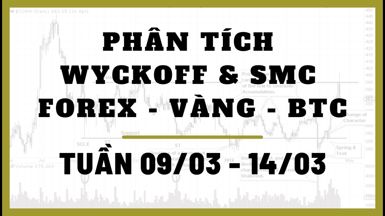 ✅Phân Tích FOREX - VÀNG - BITCOIN Tuần 09/03-14/03 Theo Phương Pháp WYCKOFF & SMC | TraderViet