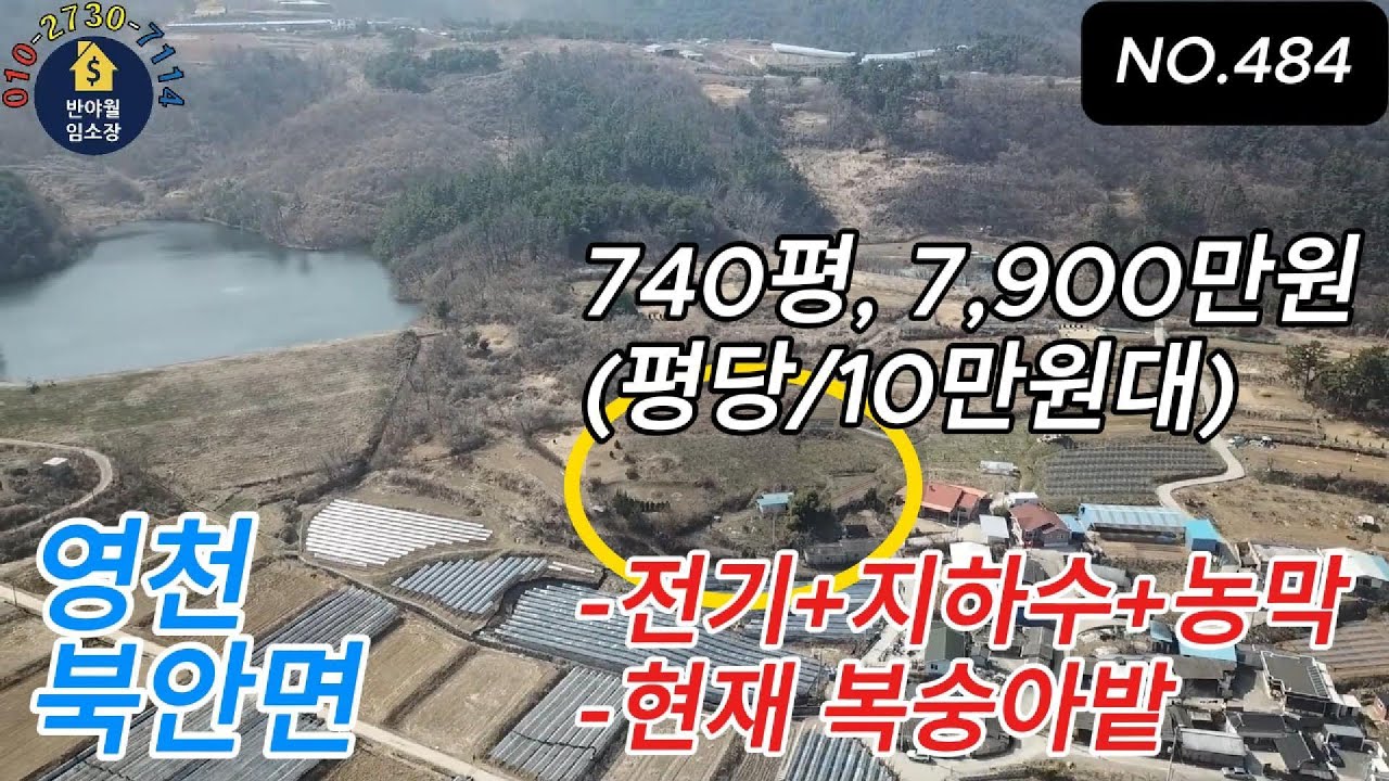 영천시 북안면 복숭아밭+농막+전기+지하수 보전관리740평/매7,900만원