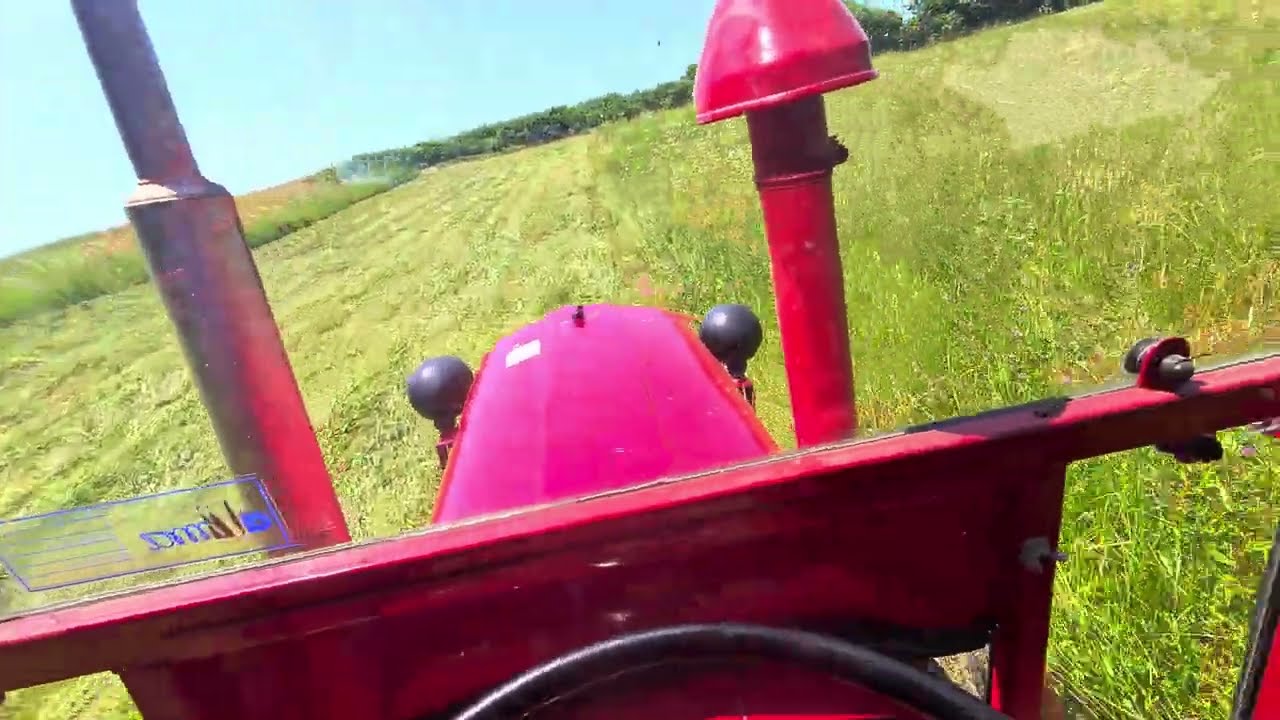 IMT 539 & FPM kosa | Kosenje trave u strani 2023