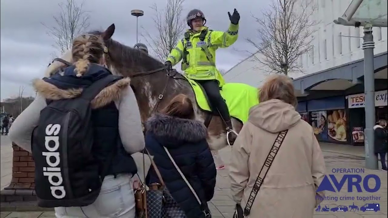 Our Mounted Unit on patrol #OpAVRO
