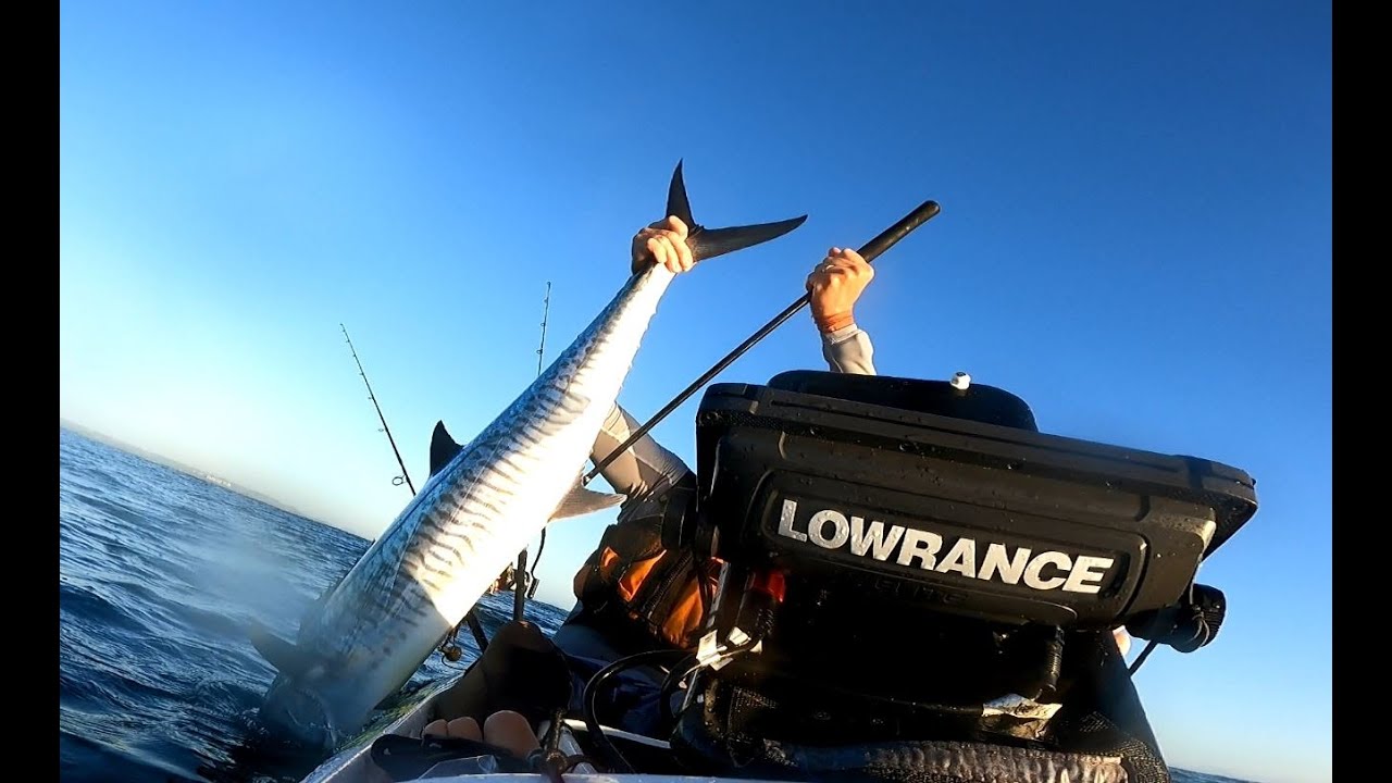 SINGING TO THE SPANISH MACKEREL