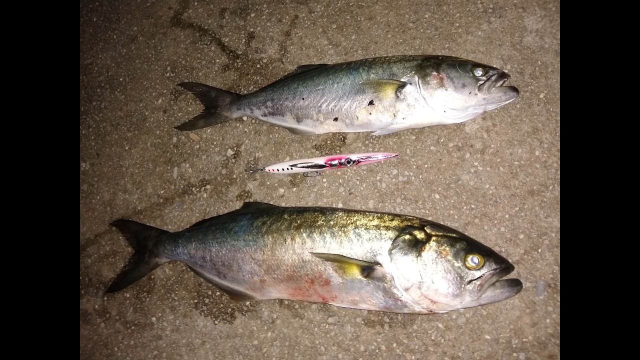 Last Cast ZarGan 150mm