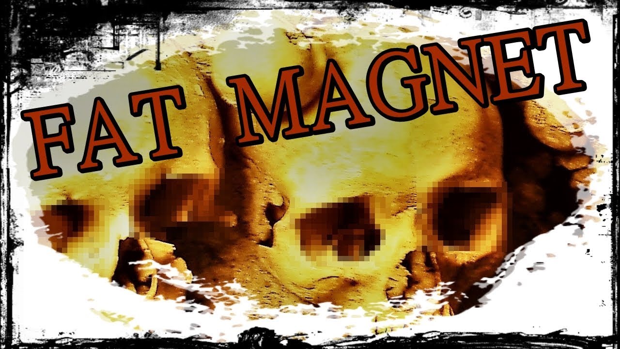 FAT MAGNET - Lost in Memories