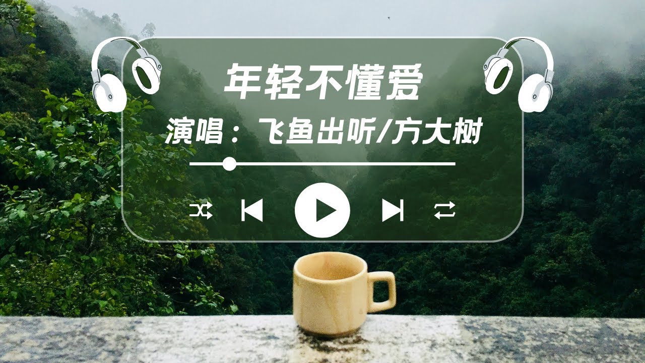 年轻不懂爱 - 飞鱼出听/方大树「原谅我年轻不懂爱，结局是悲哀」【动态歌词】♪