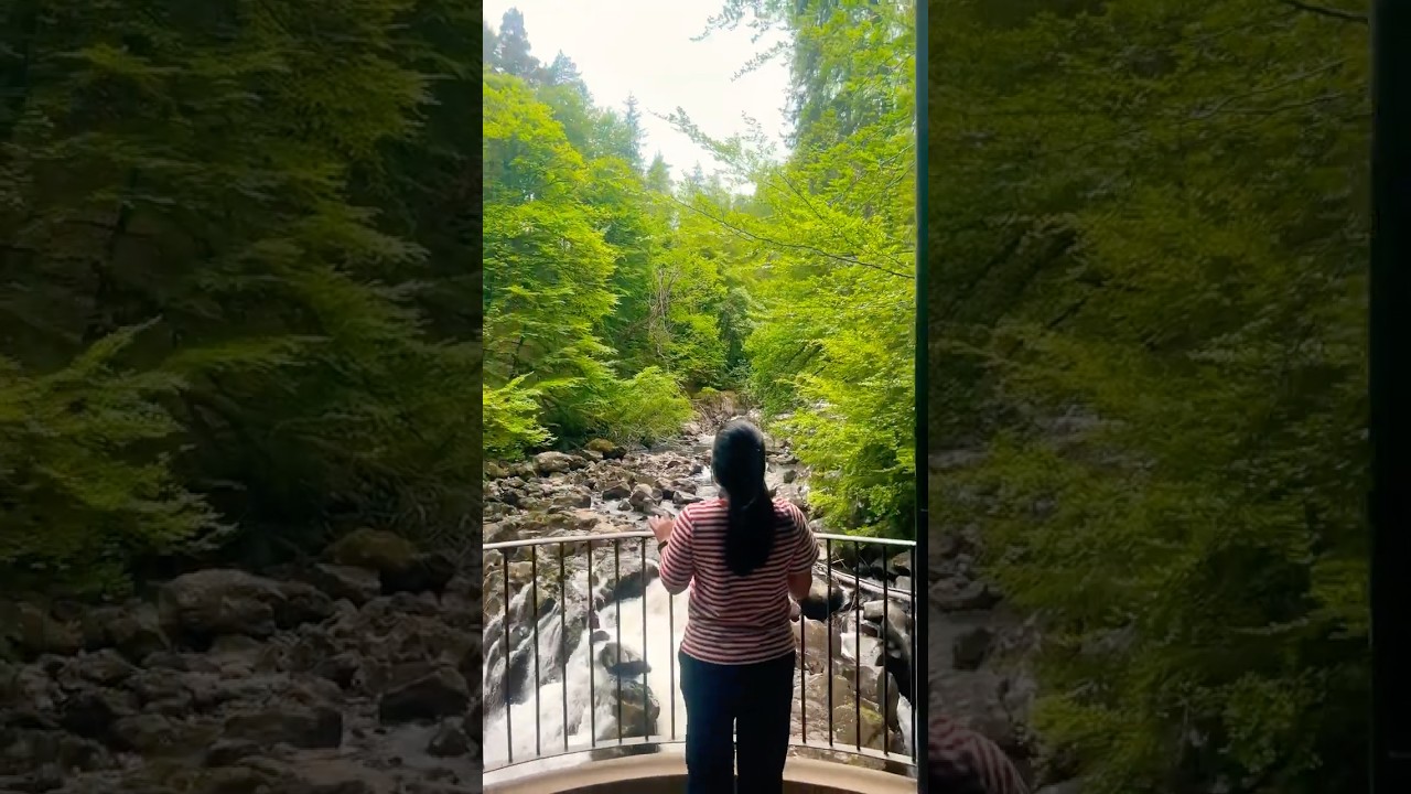 I wasn&rsquo;t ready for this view in Scotland. 📍Hermitage waterfall. #travel#explorescotland