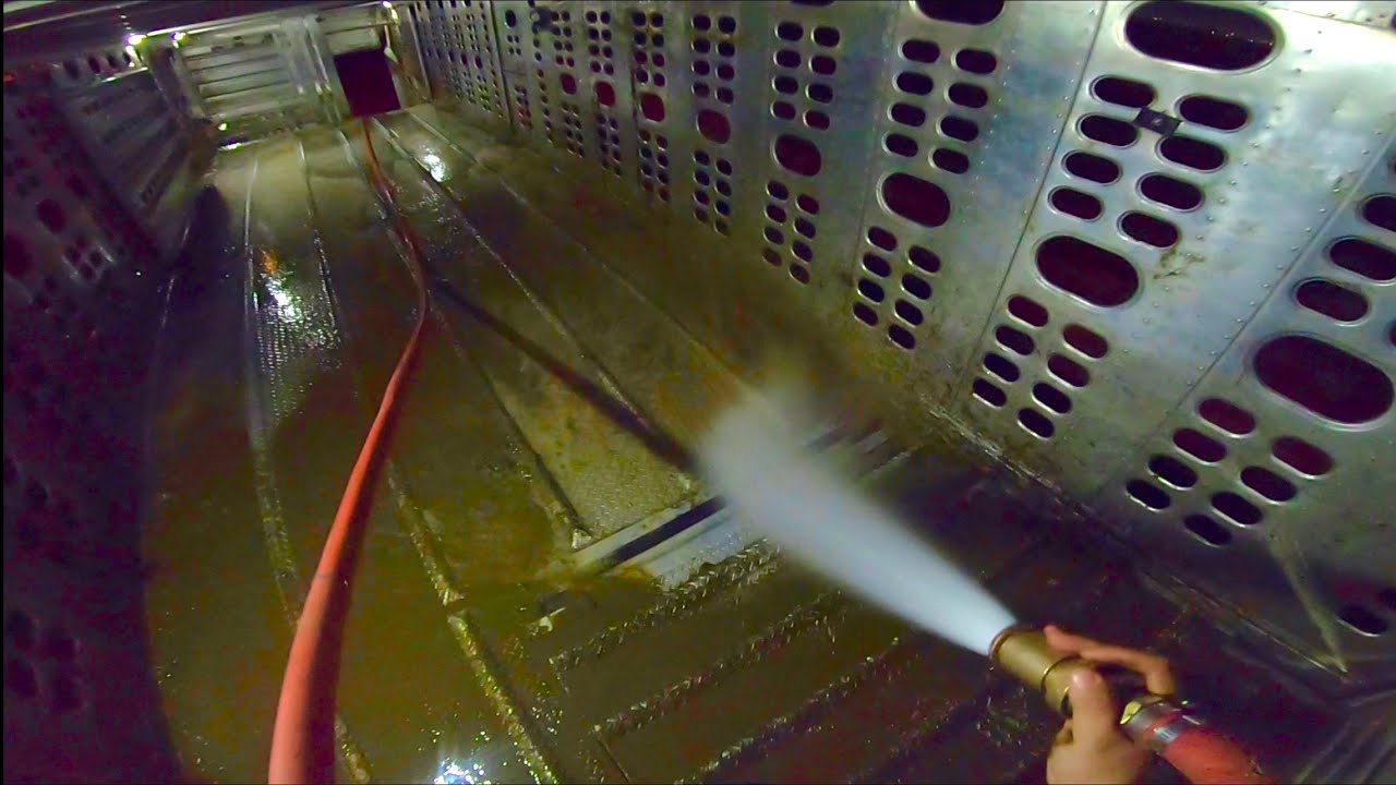 Lavando jaula ganadera