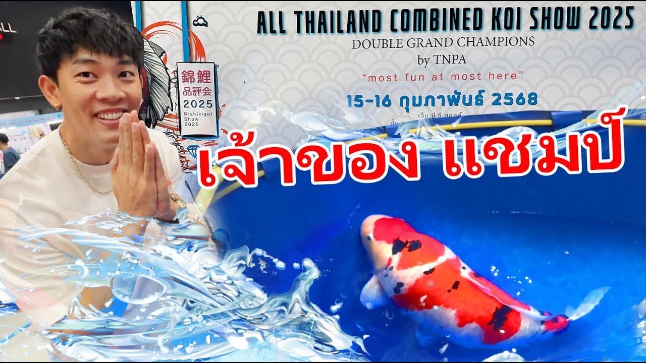 งานประกวดปลาคาร์พครั้งแรกของปีนี้ที่ไทย ALL THAILAND COMBINED KOI SHOW 2025  by TNPA