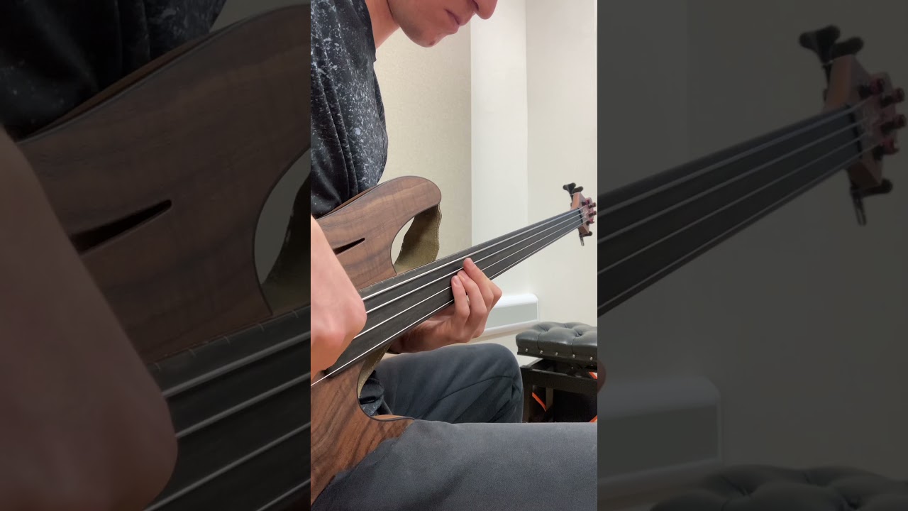 Fretless Bass Practice #shorts