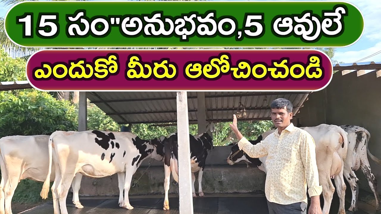5 ఆవులే చాలు Secrets of Naresh Dairy Farm @MalleshAdla