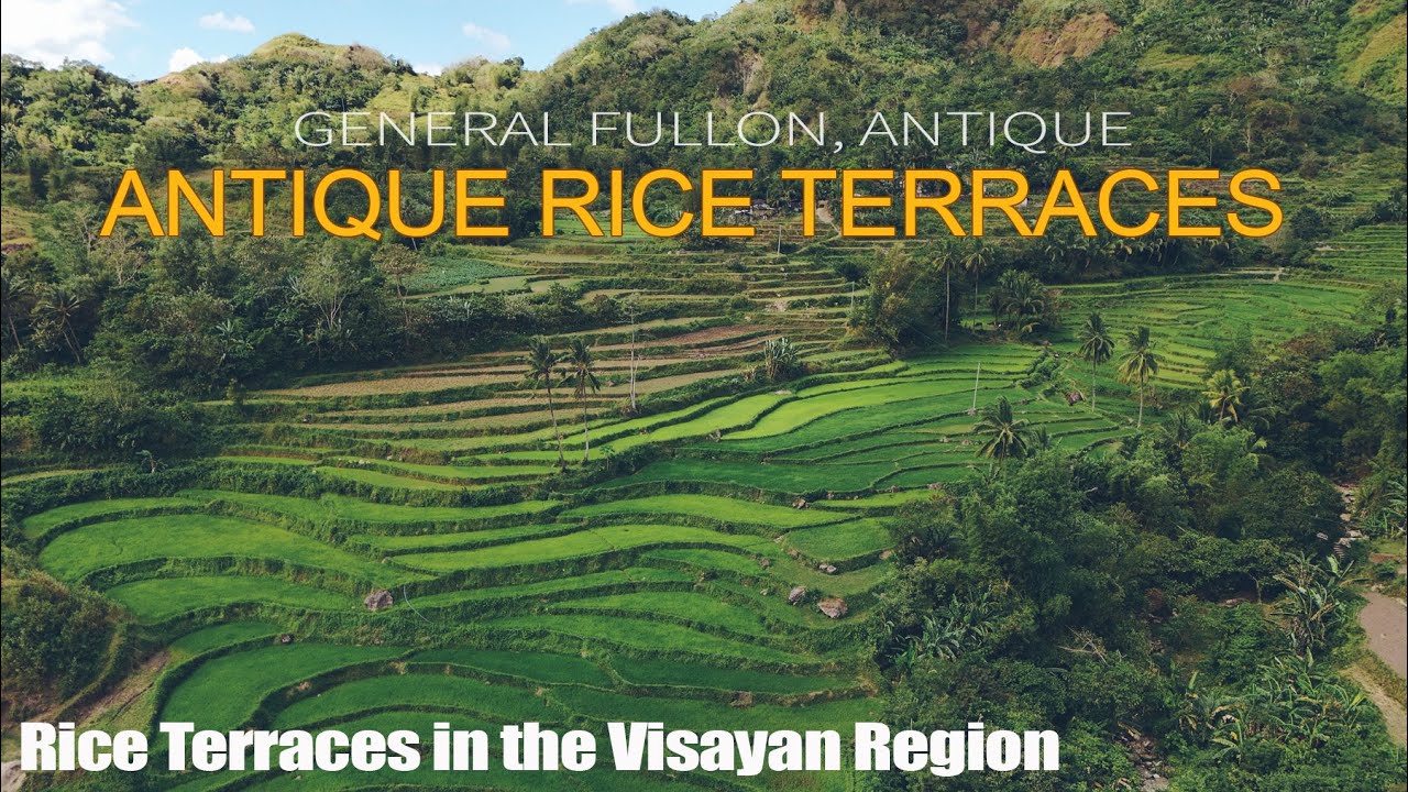 Antique Rice Terraces in San Remigio | Antique