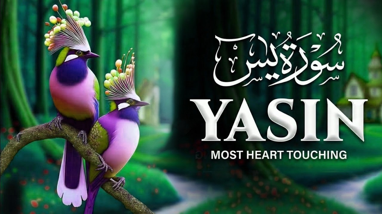 Surah Yaseen Tilawat by Sheikh Mishari Rashid Alafasy | Heart-Touching Quran Recitation |2026