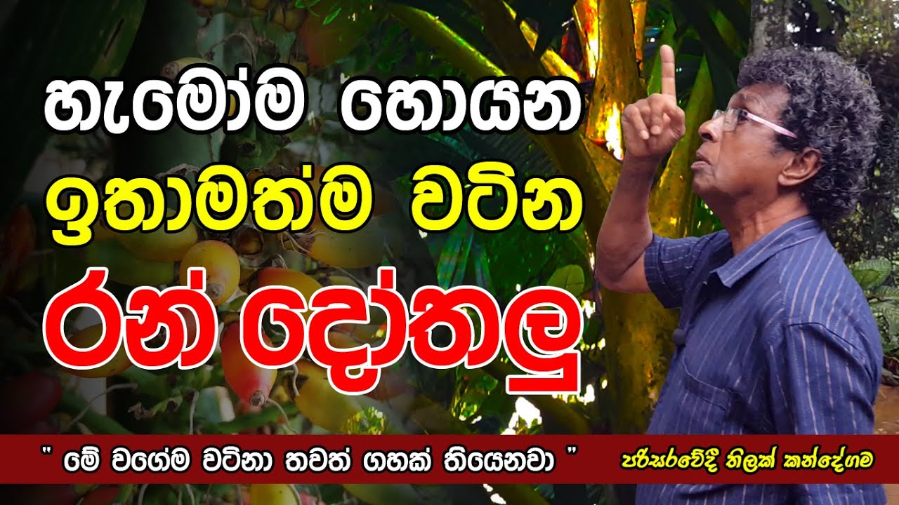 හැමෝම හොයන - ඉතාමත්ම වටිනා 