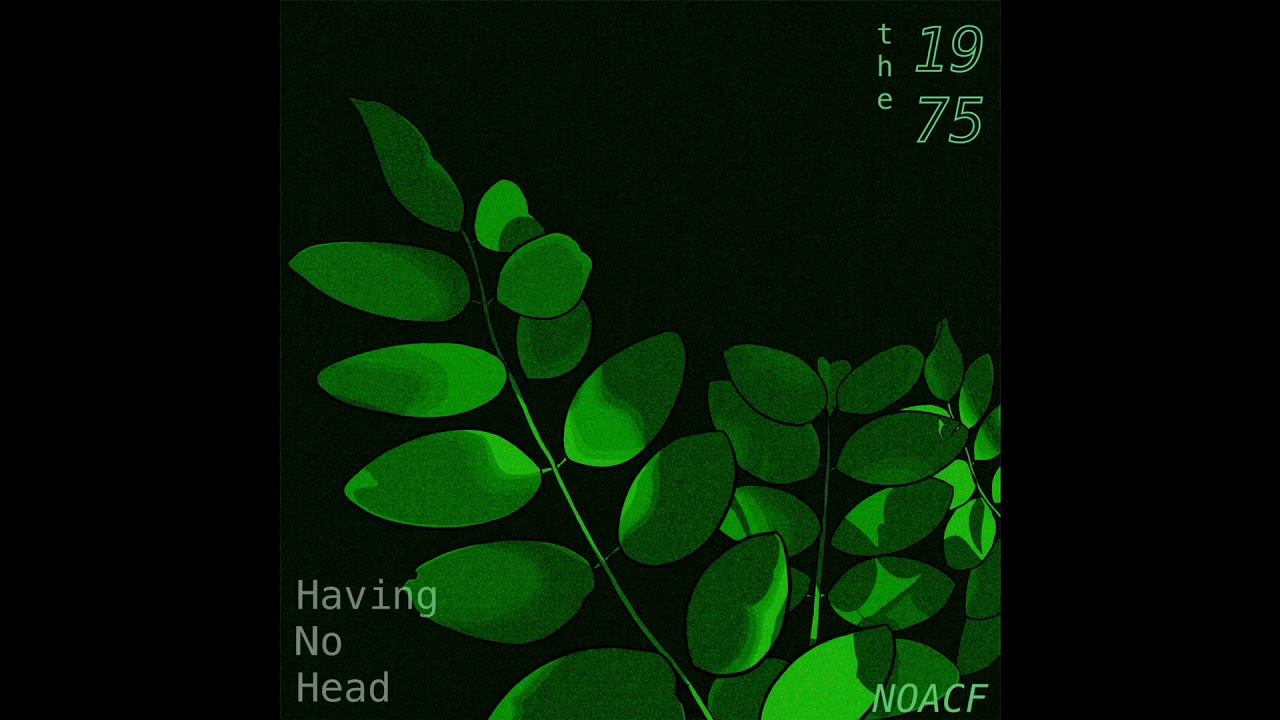 Having No Head &mdash; The 1975 NOACF