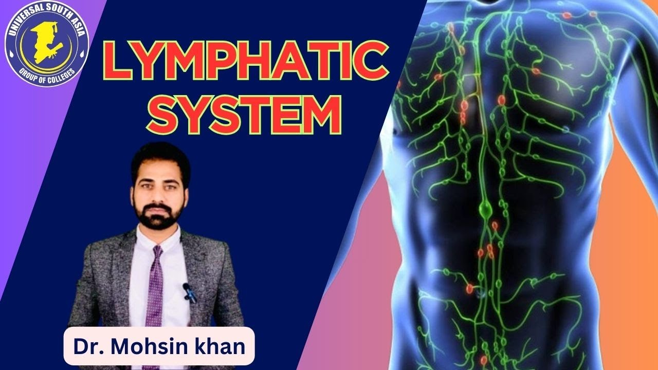 Lymphatic system Physiology