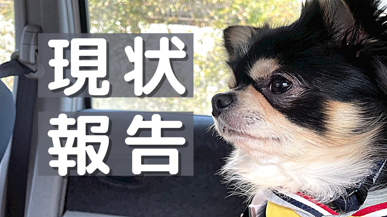 【ご報告】3度目の精密検査に行ってきました。