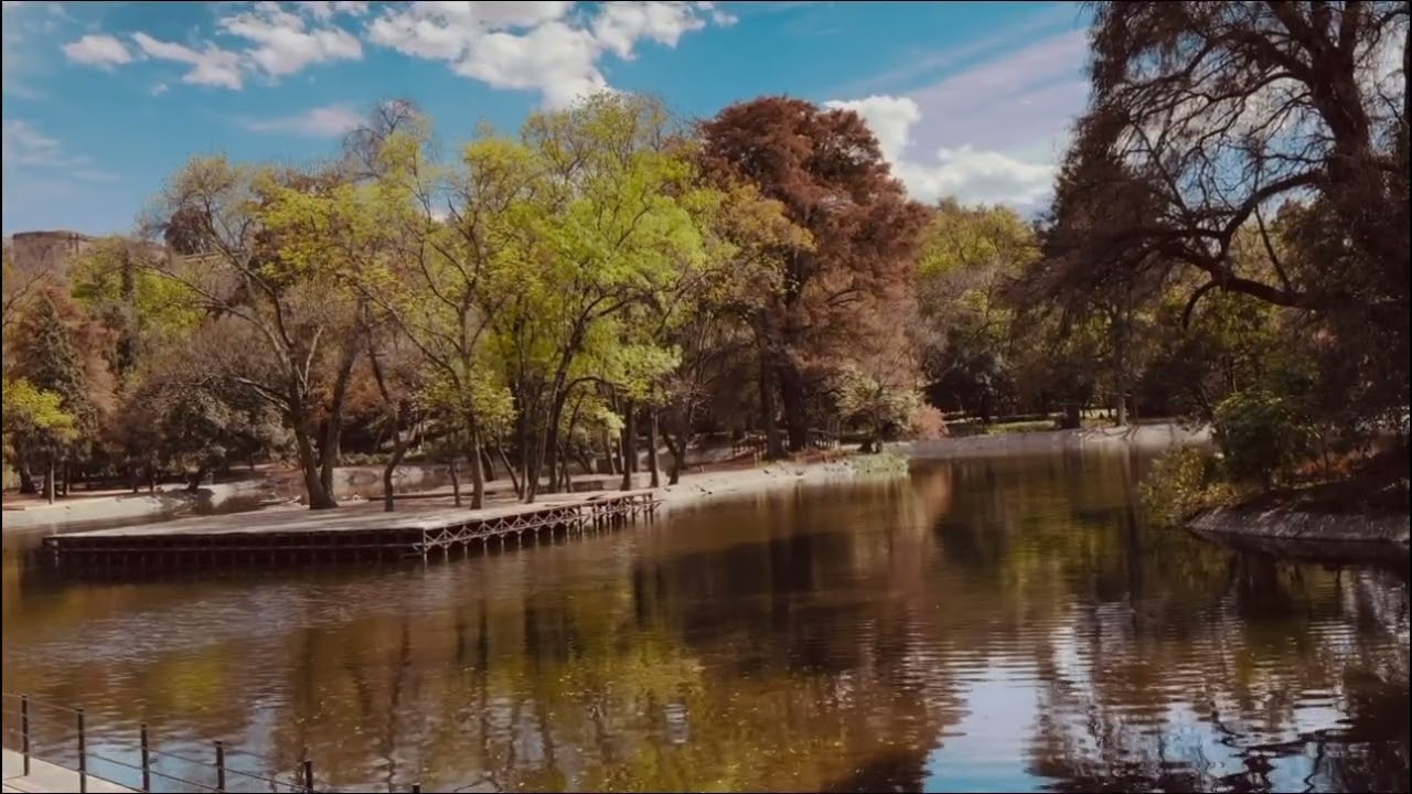 Quiet Lake Afternoon RelaxLofi