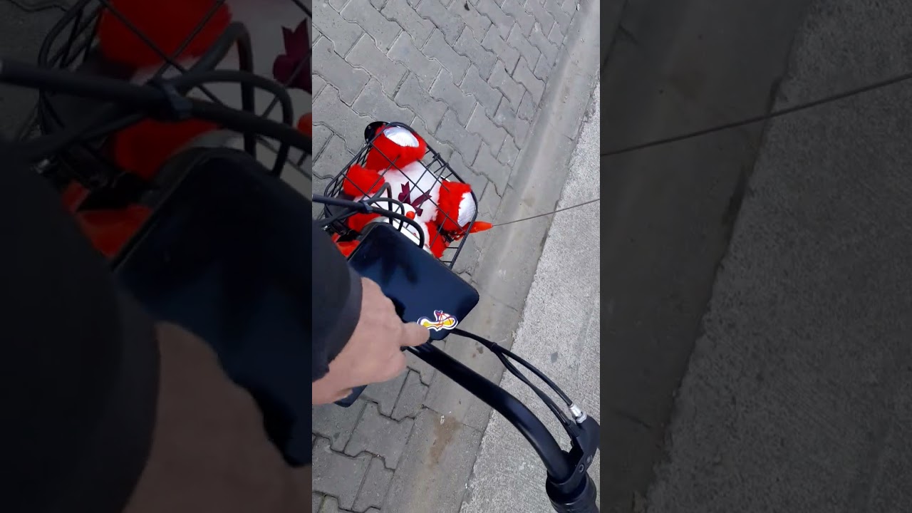 tır kornalı motolux f5 mi yoksa volta vsm alırım düşüncelerim.