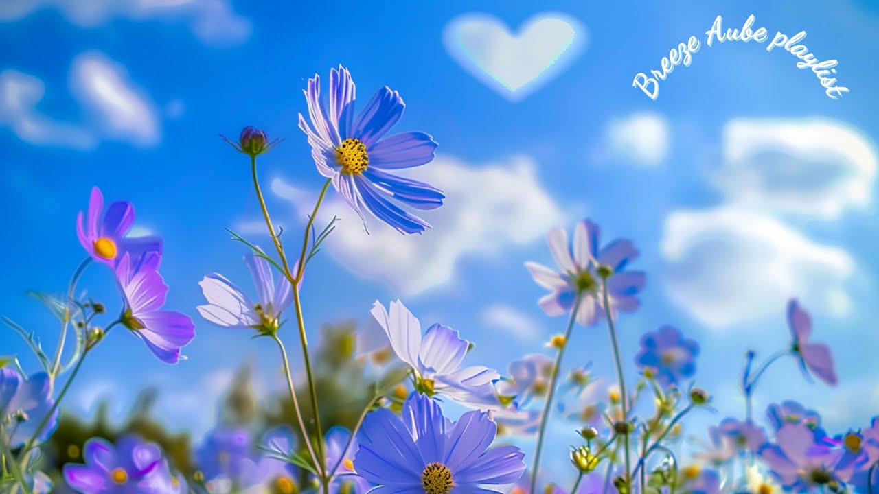 Autumn Breeze Playlist 🌼🍃 가을 향기 플레이리스트