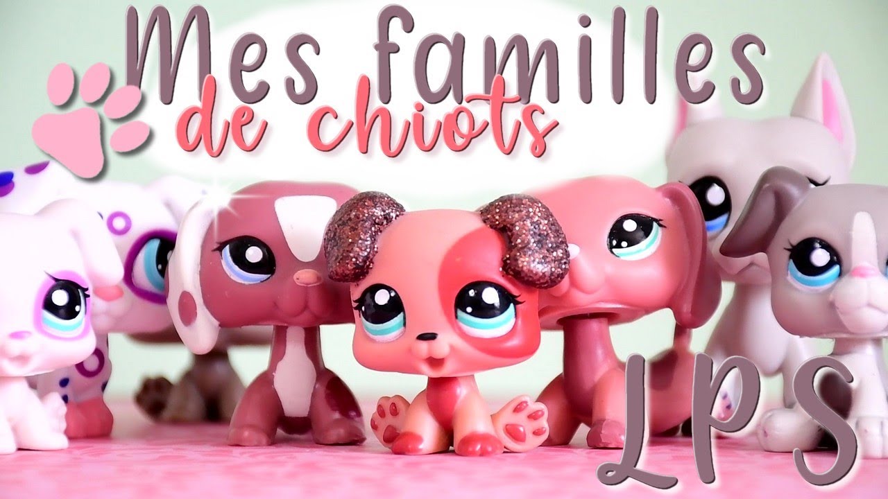 Mes familles CHIOTS - PETSHOP