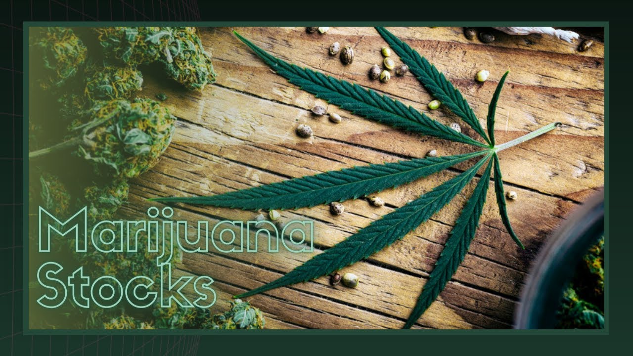 Top Marijuana Penny Stocks For 2021