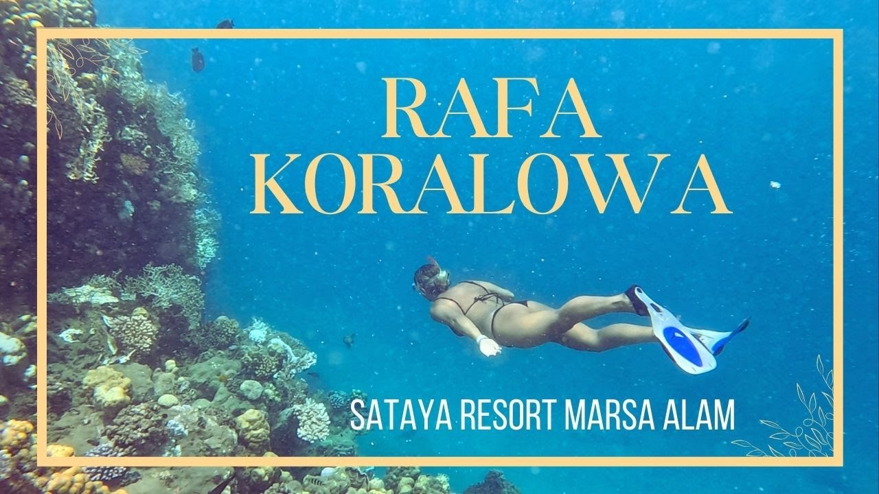 Odkrywamy Rafę Koralową w Sataya Resort Marsa Alam 🏝️ | Snurkowanie w Egipcie