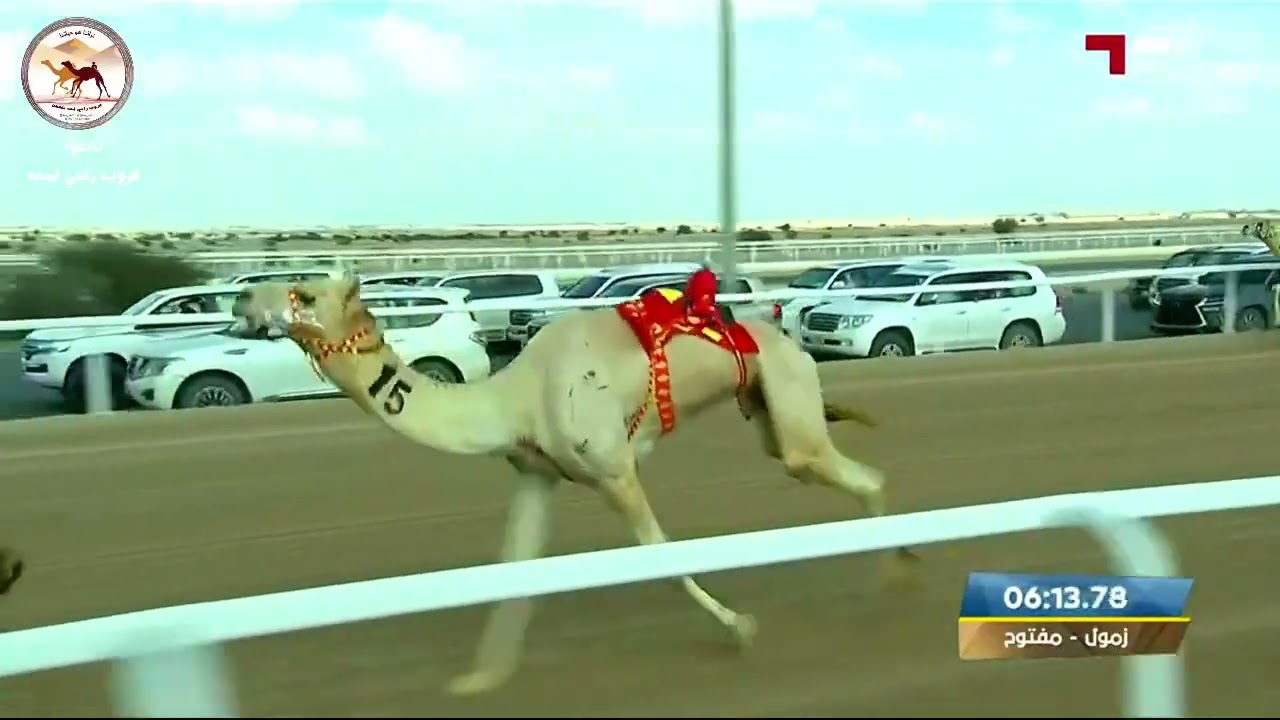 الشوط 3 .. 