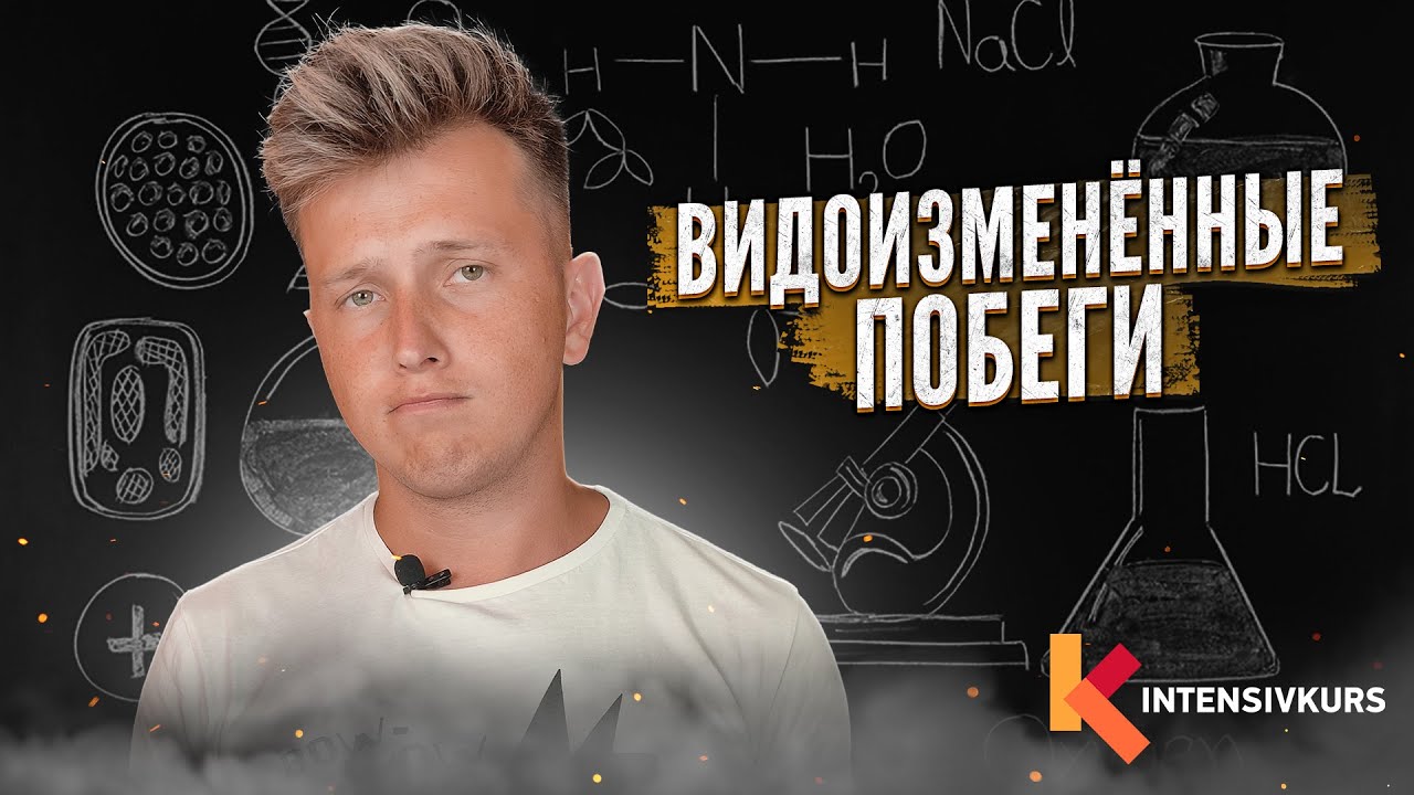 ПРОЩЕ ПАРЕНОЙ РЕПЫ — Строение и Функции Видоизменённых Побегов